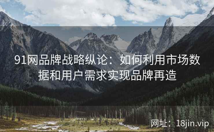 91网品牌战略纵论:如何利用市场数据和用户需求实现品牌再造 91网品牌战略纵论:如何利用市场数据和用户需求实现品牌再造